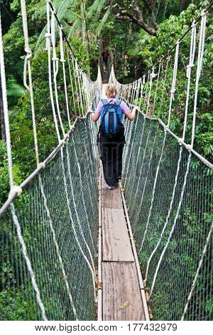 Rainforest Canopy Walkway Borneo Malaysia