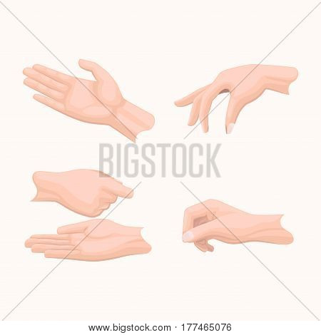 Human palm gestures set. Man hand in various positions with gathered together fingers and open palms handing something flat vectors set isolated on white background for business concepts