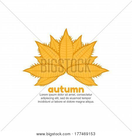 Template logo for autumn. Vector illustration of leaves