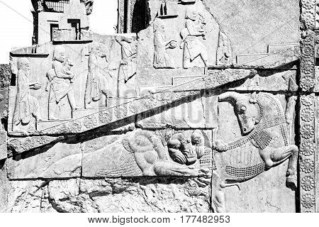 In Iran          Persepolis