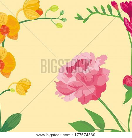 Cartoon petal vintage floral background vector bouquet garden flower botanical natural peonies illustration and summer floral greeting card spring blossom. Botany colorful flora decoration.