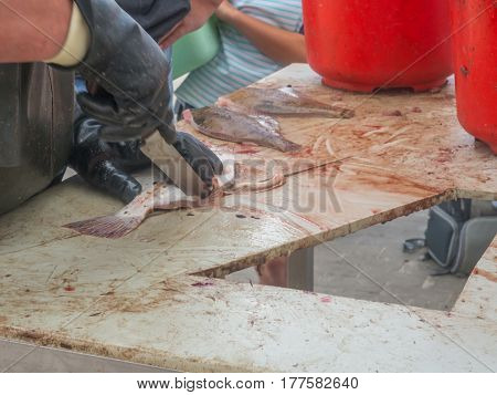Fish gutted by a fisherman in a port