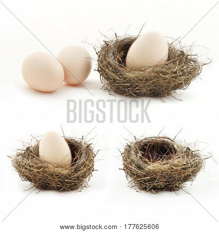 Composition with empty nest and big eggs inside the small nests isolated on white