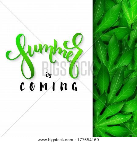 vector illustration of hand lettering poster - summer is coming with paper sheet on a background aralia leaves.