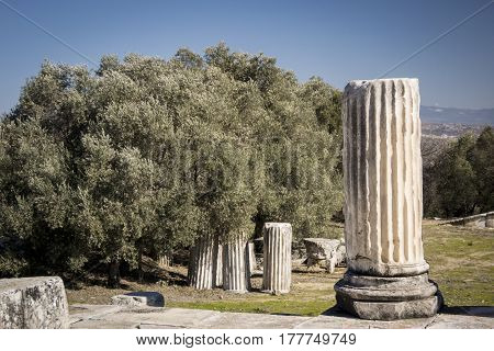 Columns in Lagina Ancient City Yatagan Mugla Turkey