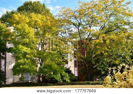 Verneuil sur Seine; France - october 16 2016 : the city center