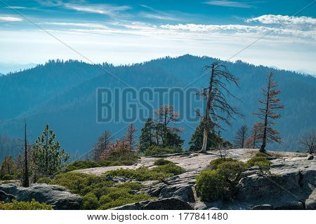 Landscape of Sequoia National park in spring with mountain peaks covered by snow