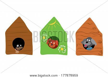 Three dogs look out of their booths / in an ecological house live happier