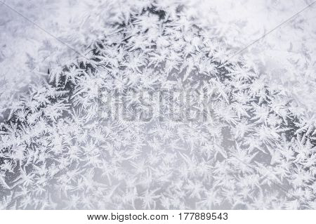 Beautiful winter background in the form of snowflakes frost ice crystals. An interesting pattern drawn by nature.