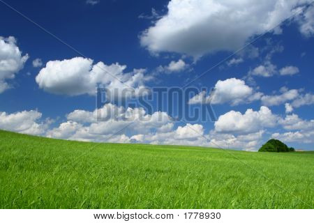 Sommer felt