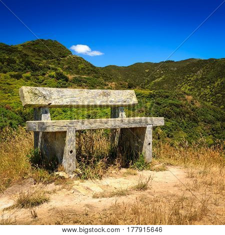 bench on the track. Location: New Zealand, Wellington