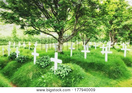 A Small Wooden Church And Cemetery Hofskirkja Hof, Skaftafell Iceland. Scenic Sunset Through Tree Cr