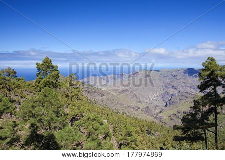 West Gran Canaria In February