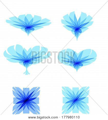 Cichorium intybus. Set of Chicory flowers symbolic images. Vector Illustration logo or icon template. Health and Nature.