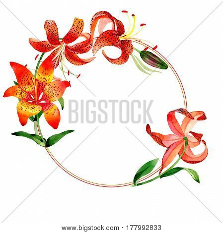 Wildflower leopard lily flower frame in a watercolor style isolated.  Aquarelle wild flower for background, texture, wrapper pattern, frame or border.