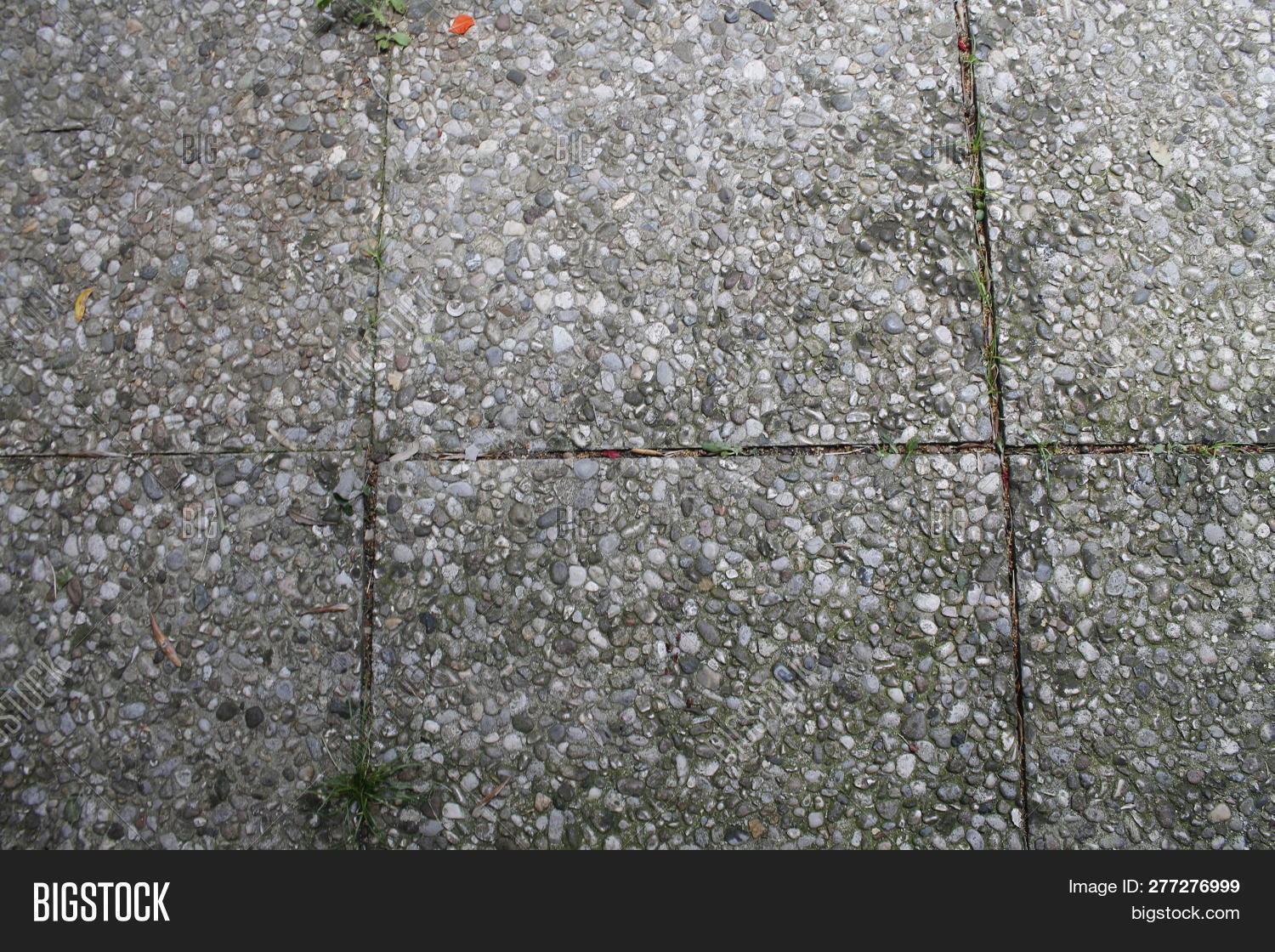 Pebble Stone Floor Image Photo Free Trial Bigstock
