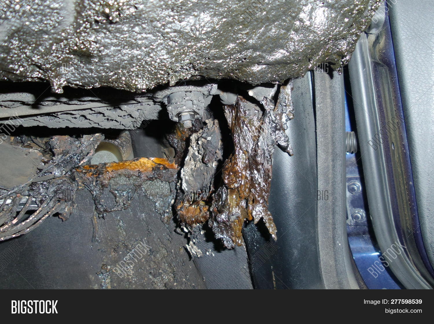 ภาพและภาพถ่าย (ทดลองใช้ฟรี) | Bigstock