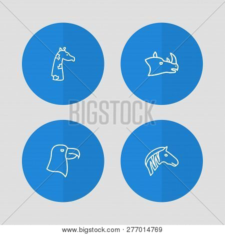 Set Of 4 Animal Icons Line Style Set. Collection Of Zebra, Aquila, Camelopard And Other Elements.