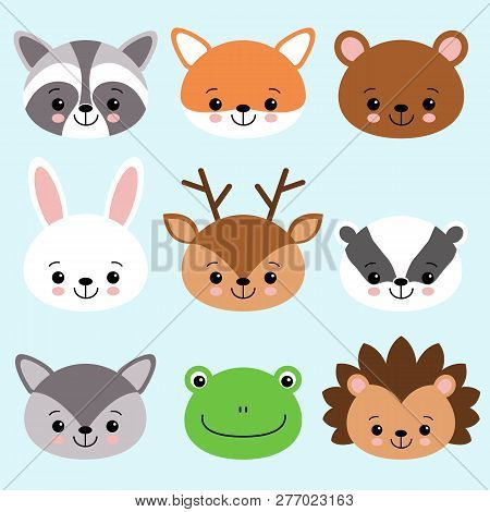 Cute Cartoon Anomals Fox, Raccoon, Bear, Bunny, Deer, Badger, Wolf, Frog, Hedgehog