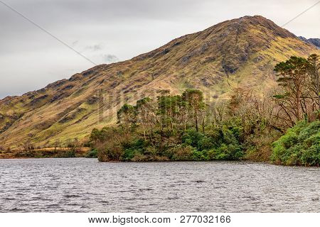 Forest, Mountains And Lake In Clifden