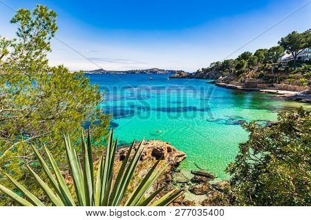 Beautiful Bay Beach Of Cala Fornells, Majorca Island Spain