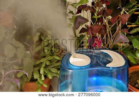 To Create A Comfortable Microclimate In The Apartment.