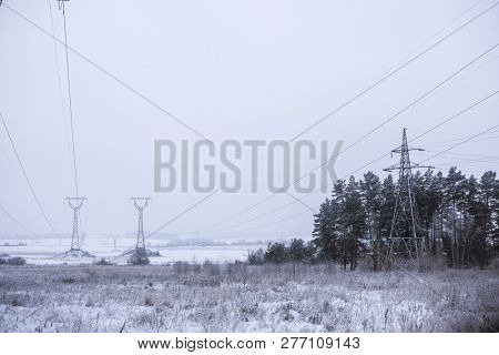 The image of a winter field