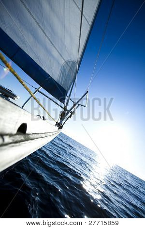 Vela in mare aperto