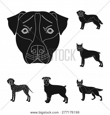 Vector Design Of Cute And Puppy Logo. Set Of Cute And Animal Stock Vector Illustration.
