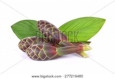Phlai, Cassumunar Ginger, Bengal Root On White Background