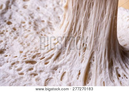 Alveolus Gluten Matrix