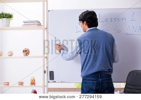 Young lecturer teacher teaching anatomy