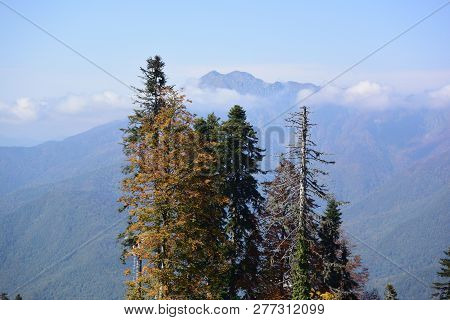 View Of The Ridge Psekhako, Sochi, Russia