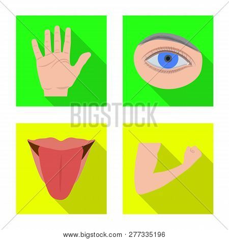 Vector Illustration Of Human And Part Sign. Collection Of Human And Woman Vector Icon For Stock.