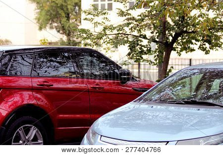 Two Cars Red And Gray In The Parking Lot Of A Tree
