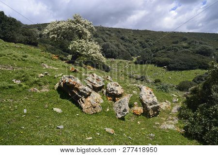 View Of Baccu Cascitta, Pasture And  Rocks