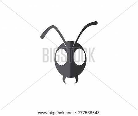 Ant Logo Template Vector Illustration