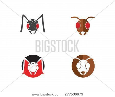 Ant Logo Template Vector Illustration