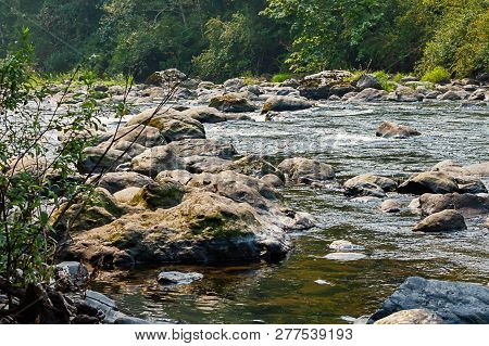 Boulders And Trees Along The Edge Of The Green River In Washingt