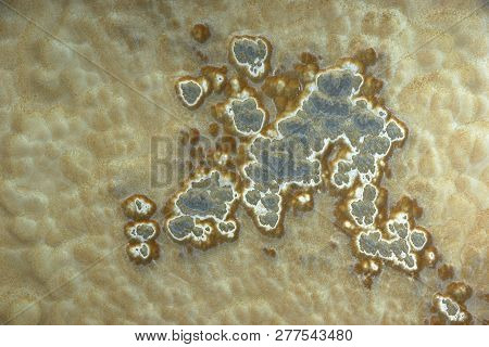 Natural Stone With Stains And Bubbles Called Onice Capuccino