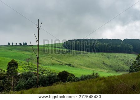 Farms Alongside The Karkloof River In Kwazulu Natal, South Africa.