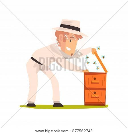 Beekeeper Man Hiver Harvesting Honey, Apiculture And Beekeeping Concept Vector Illustration
