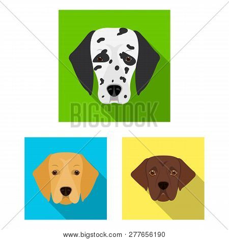 Vector Design Of Cute And Puppy Icon. Set Of Cute And Animal Stock Vector Illustration.