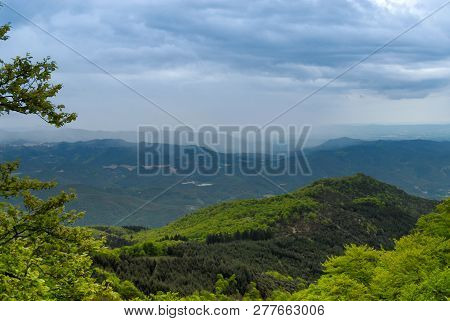 Hills Covered With Trees And Forest Near Barcelona, Spain