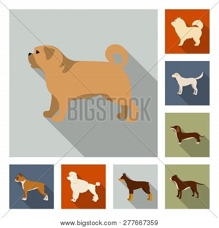 Vector Design Of Cute And Puppy Sign. Collection Of Cute And Animal Stock Vector Illustration.