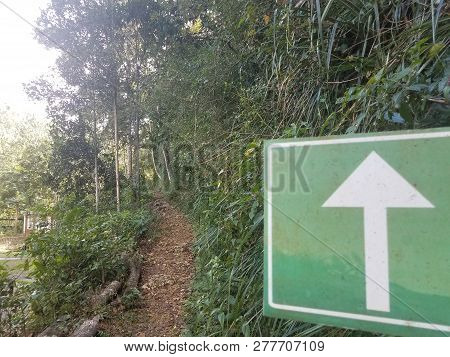 White Arrow On Green Sign And Path In The Guajataca Forest In Puerto Rico
