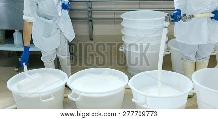 Traditional Craft Cheese Making. Expert Cheesemaker Pours Milk Rennet In Pot For Making Cheese In Th