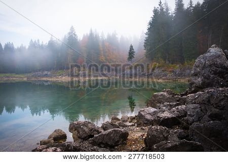 This Magical Tree On Lake Laghi Di Fusine With Nice Reflections On Water On A Foggy Morning In Autum
