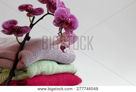 Knitted Clothes, Handmade, Wool, Mohair And Cotton. Near Them Are Orchids.