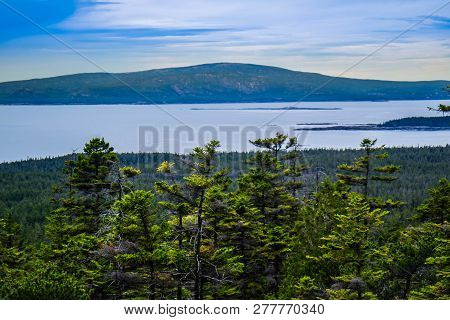 Schoodic Head Point In Acadia National Park, Maine